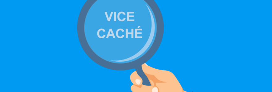 Vice caché